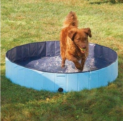Vasca da bagno portatile su misura del cane del PVC per ecologico domestico